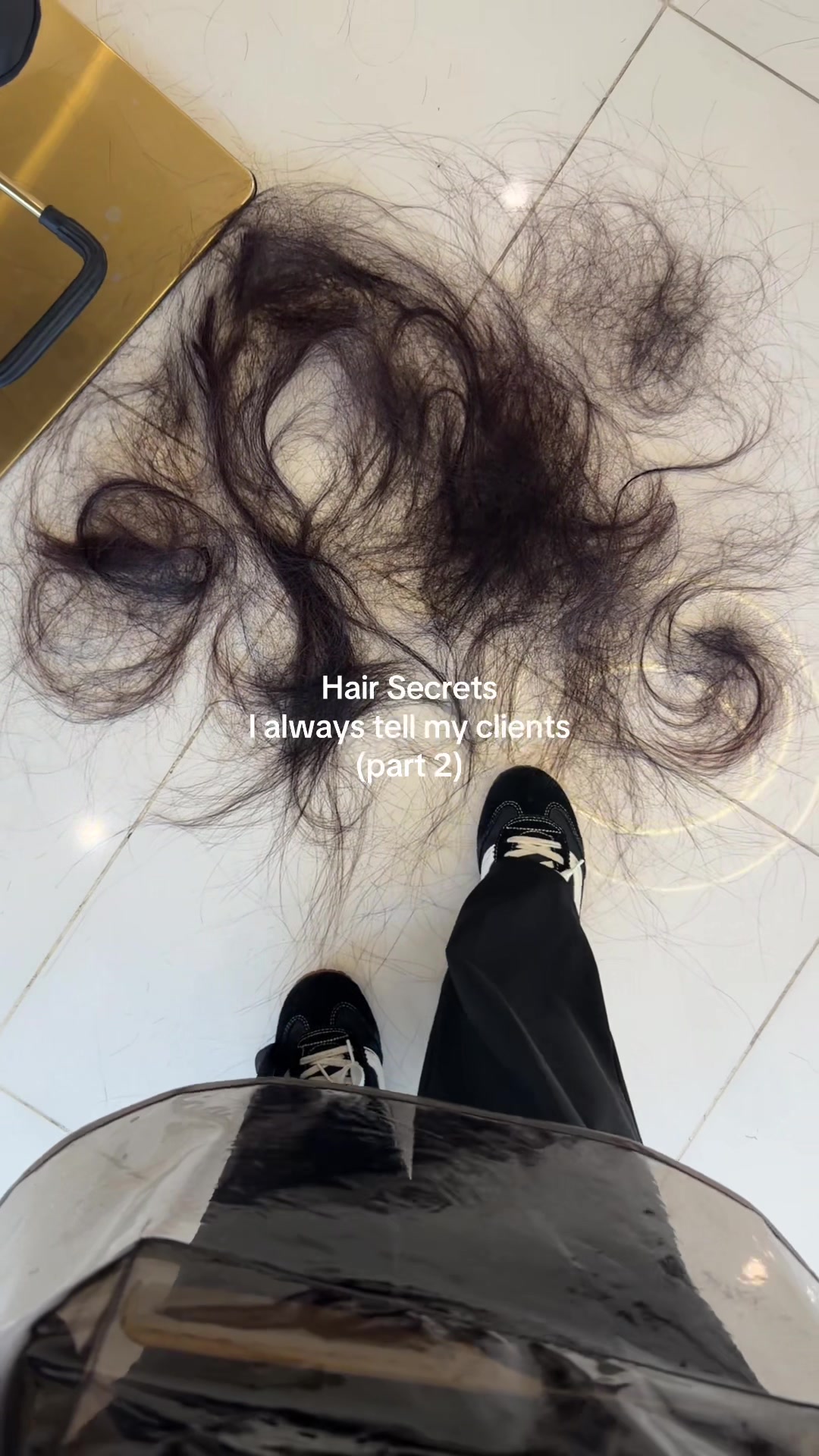 @gudhairby.tawney