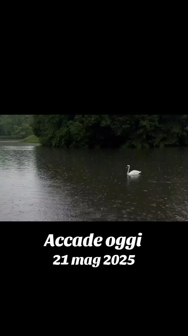 @mariafanciulli615