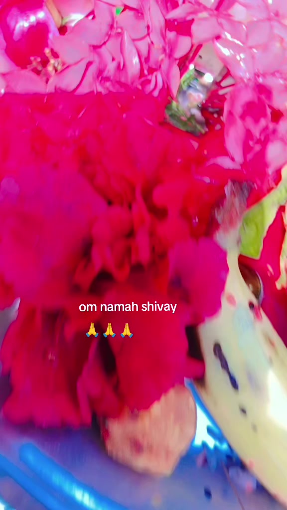 @SHANTI KATHARIYA 2 🌹❣️🌹