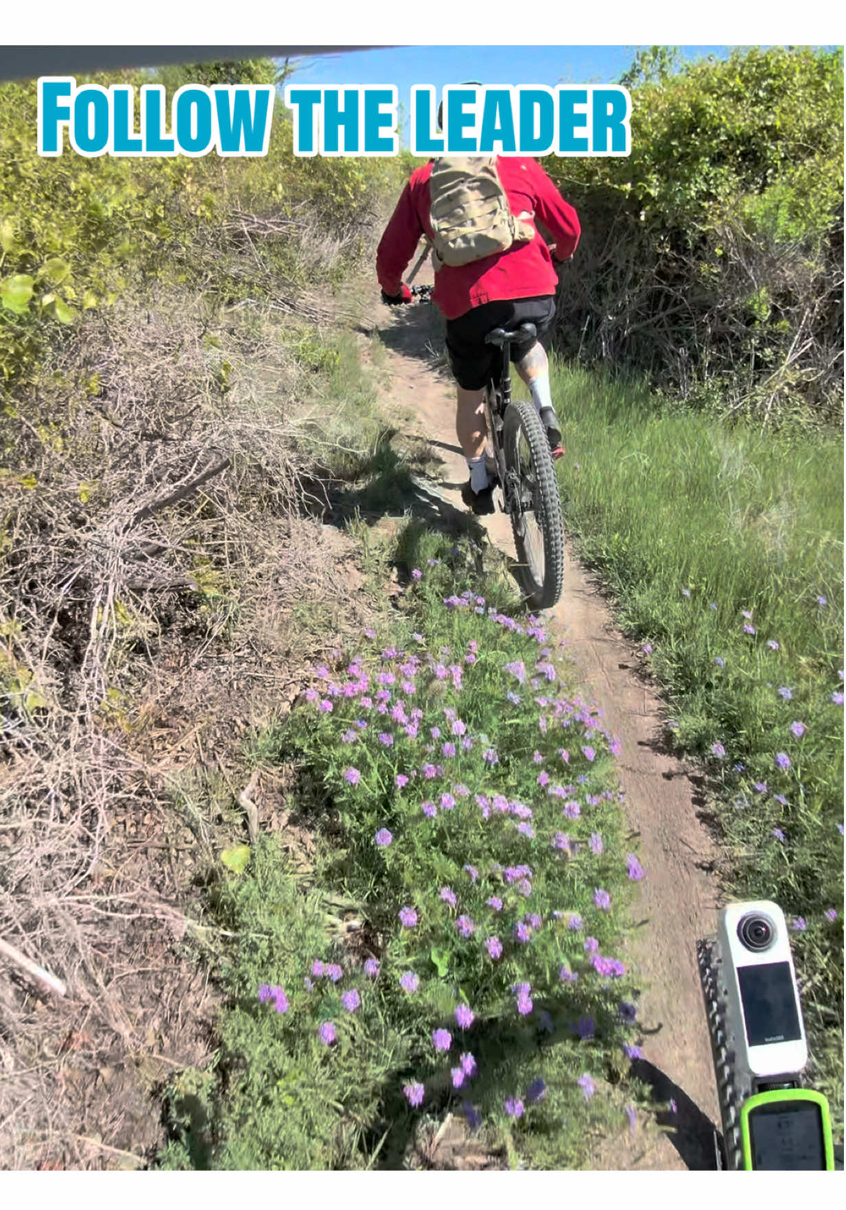 @Average_cyclist-❌