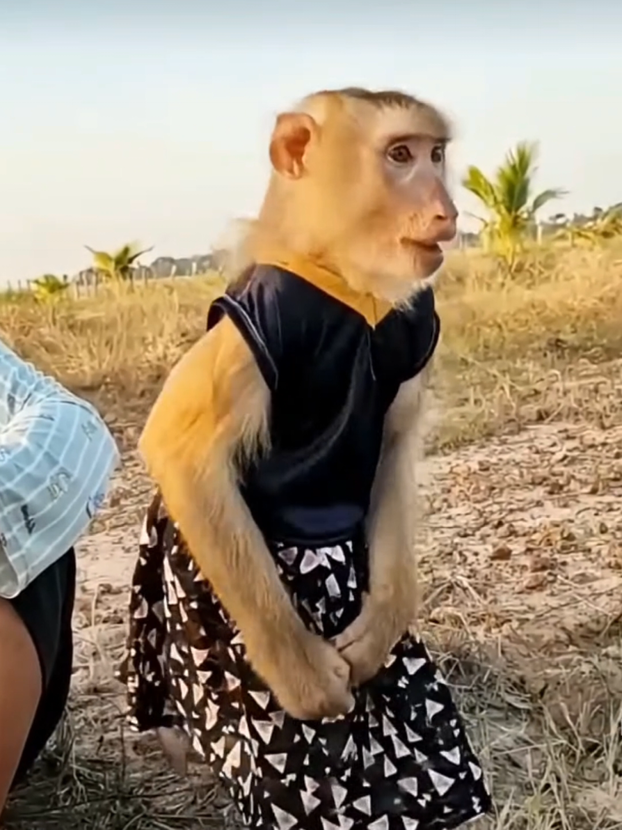 @monkeyYAYA