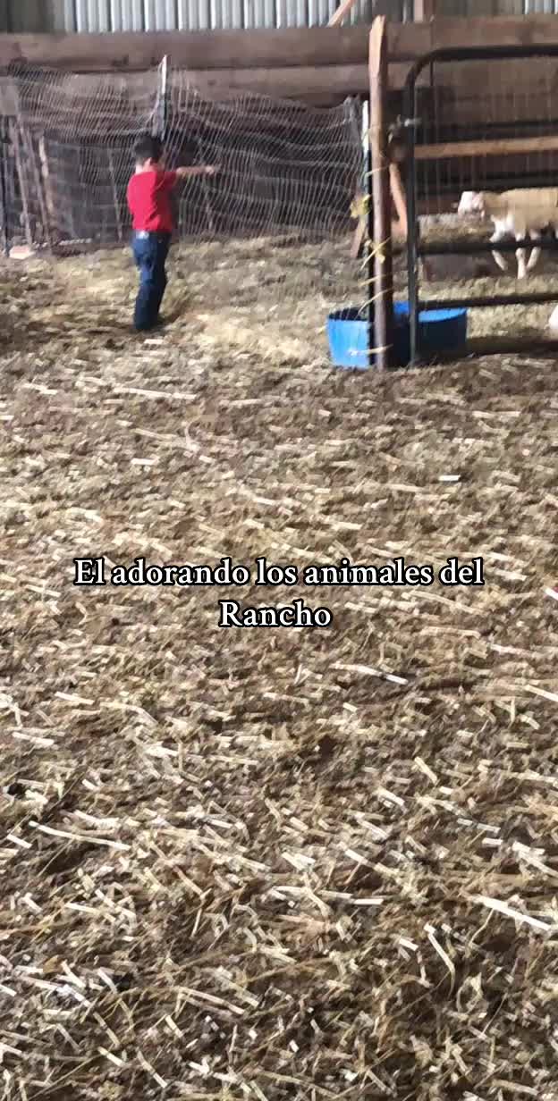 @BarrazaMtz