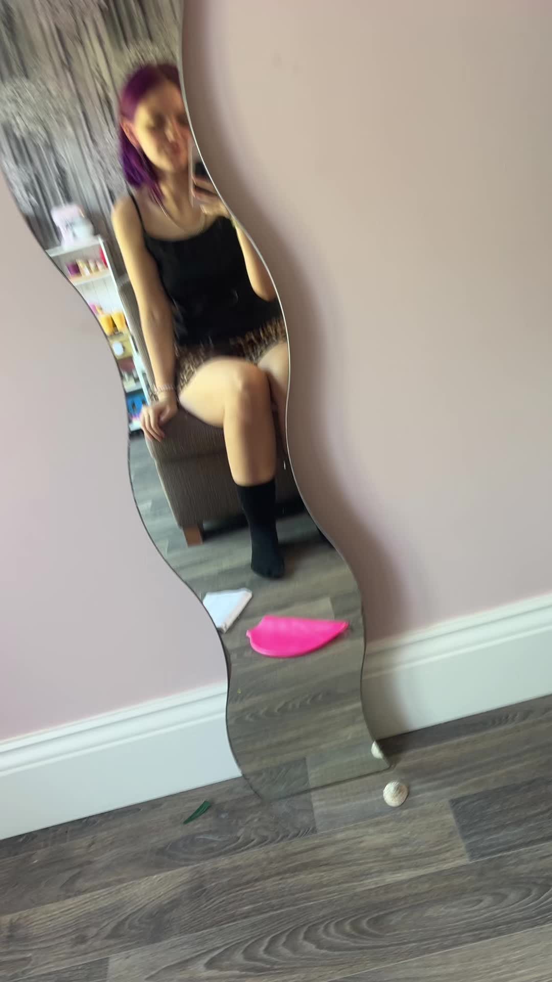 @_jamielee_angel_pet_