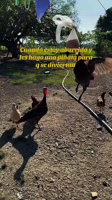 @La Leonera