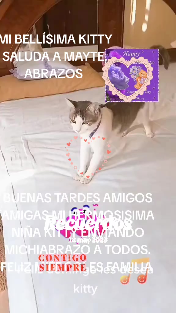@minyna102