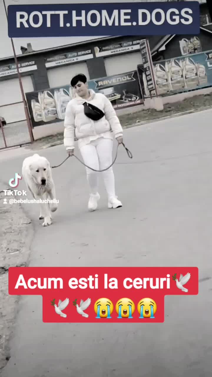 @Stefania