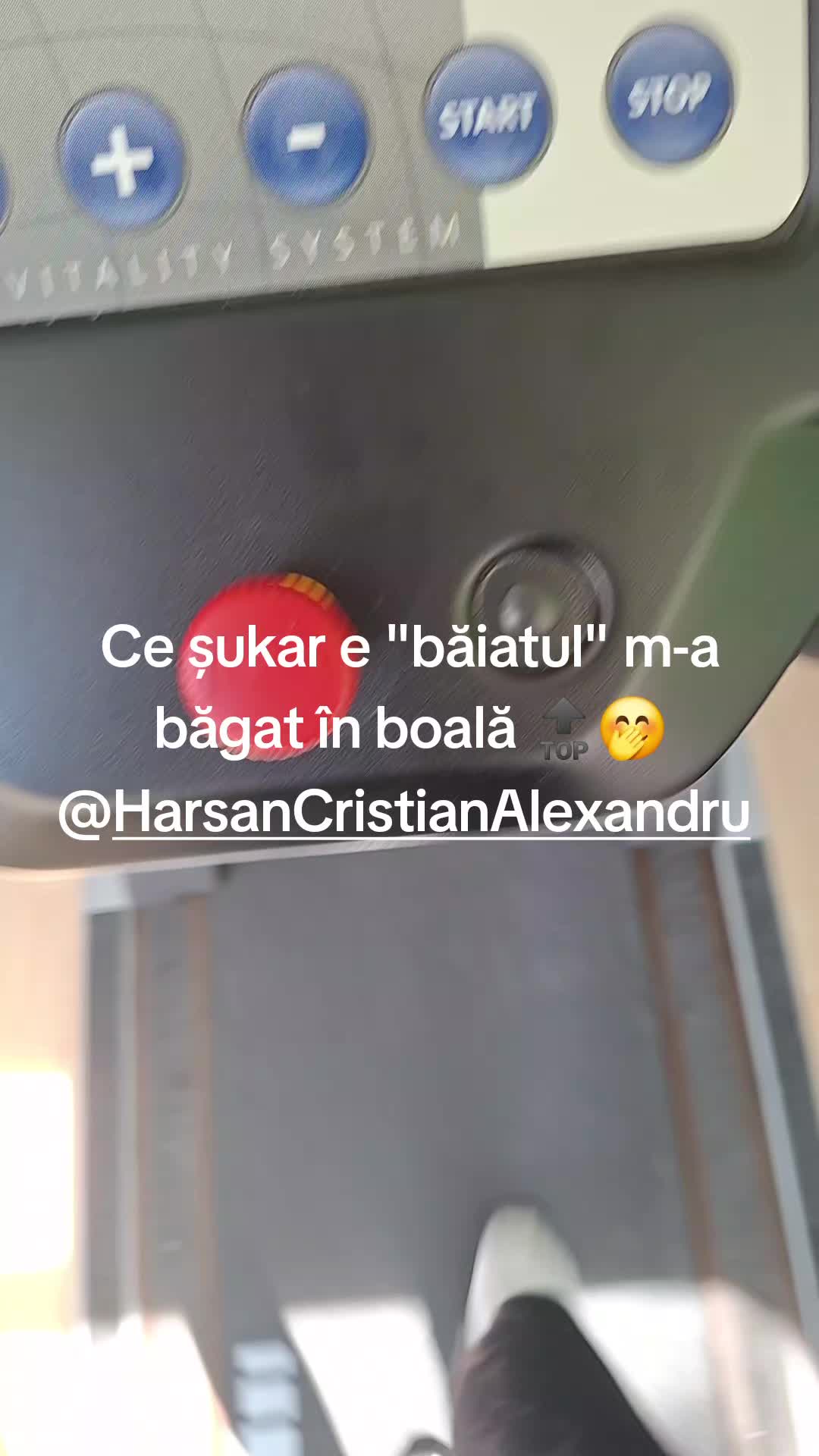 @Milena Hărșan