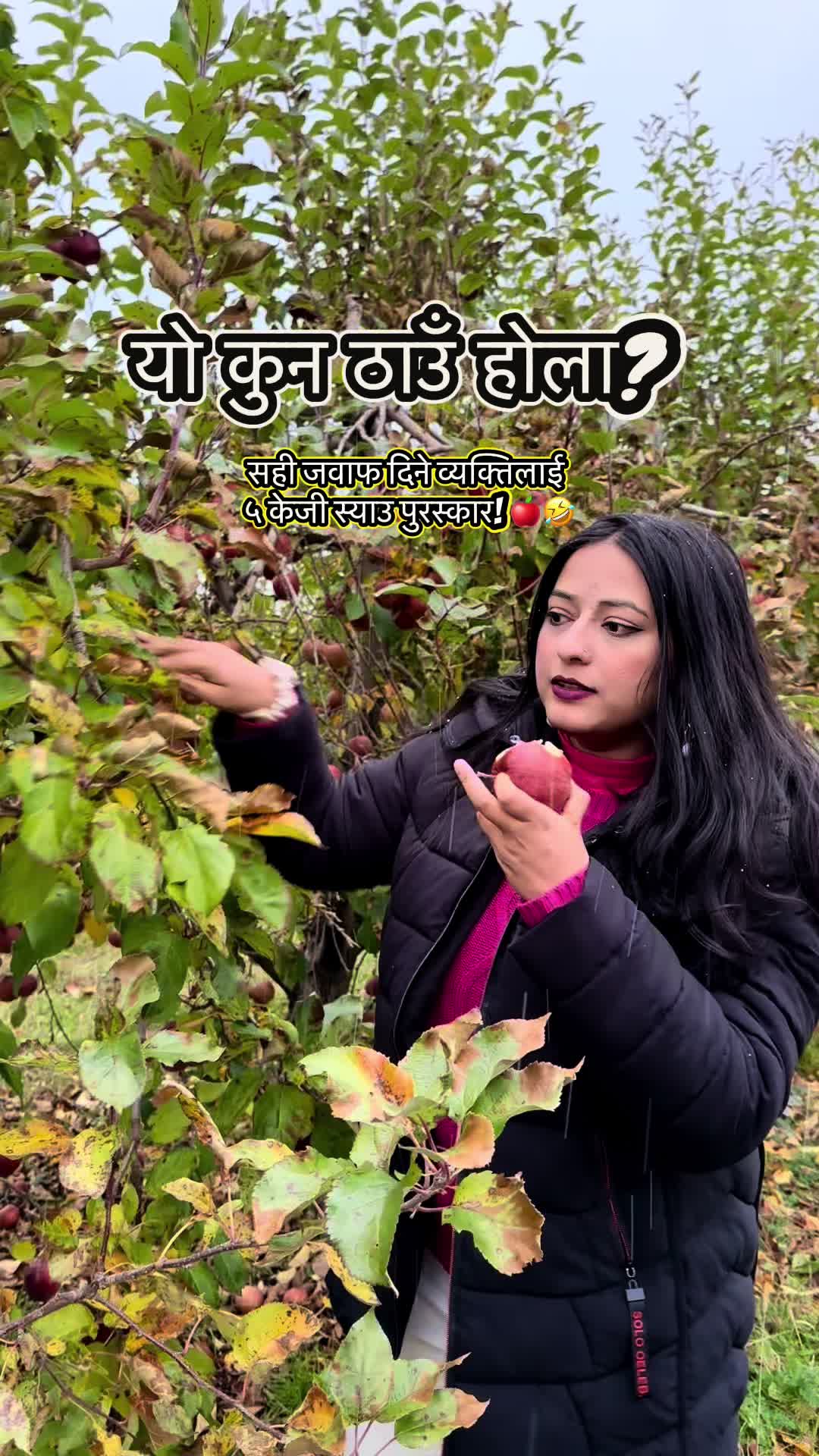 @Insaa