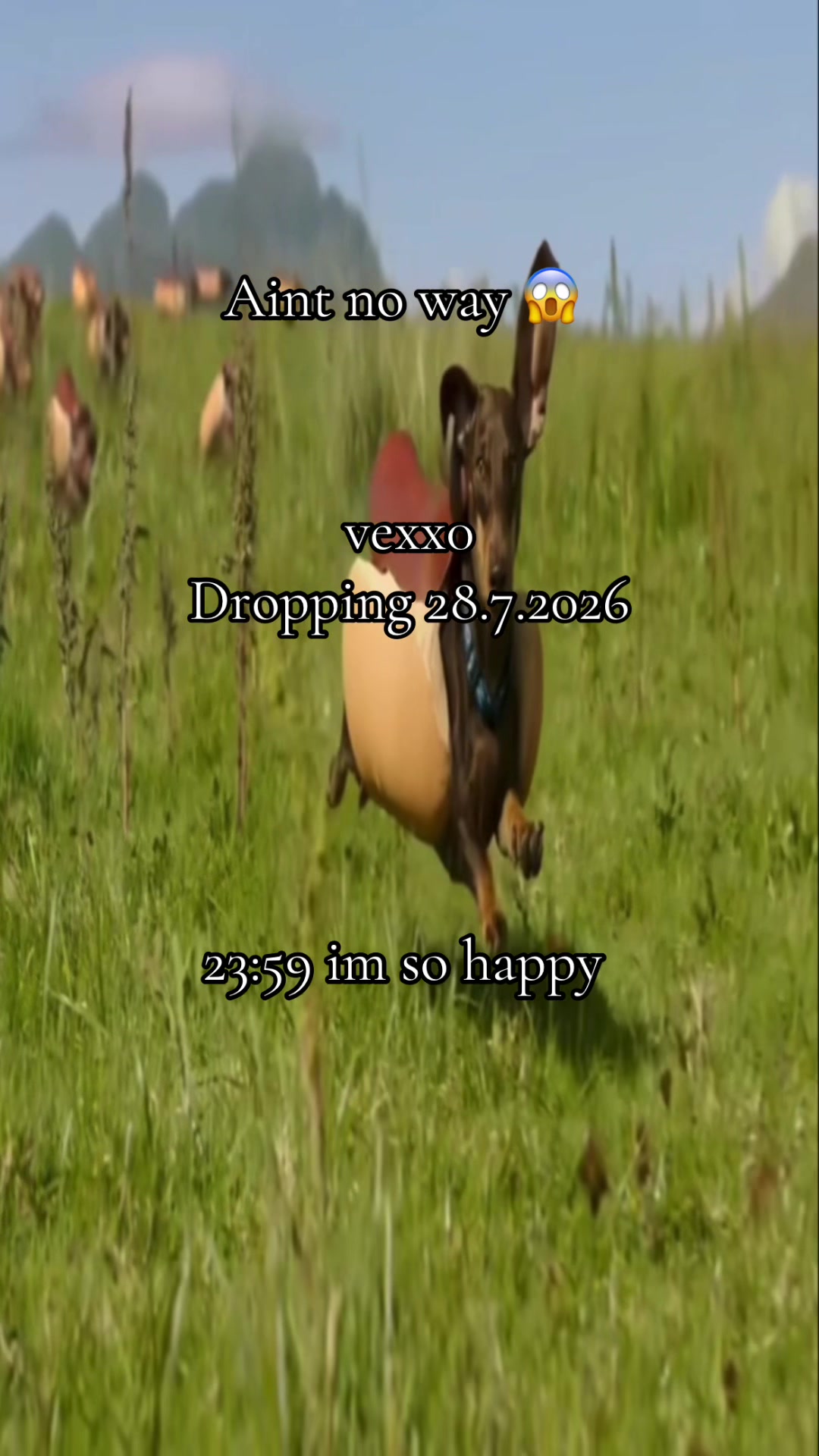@vexx0
