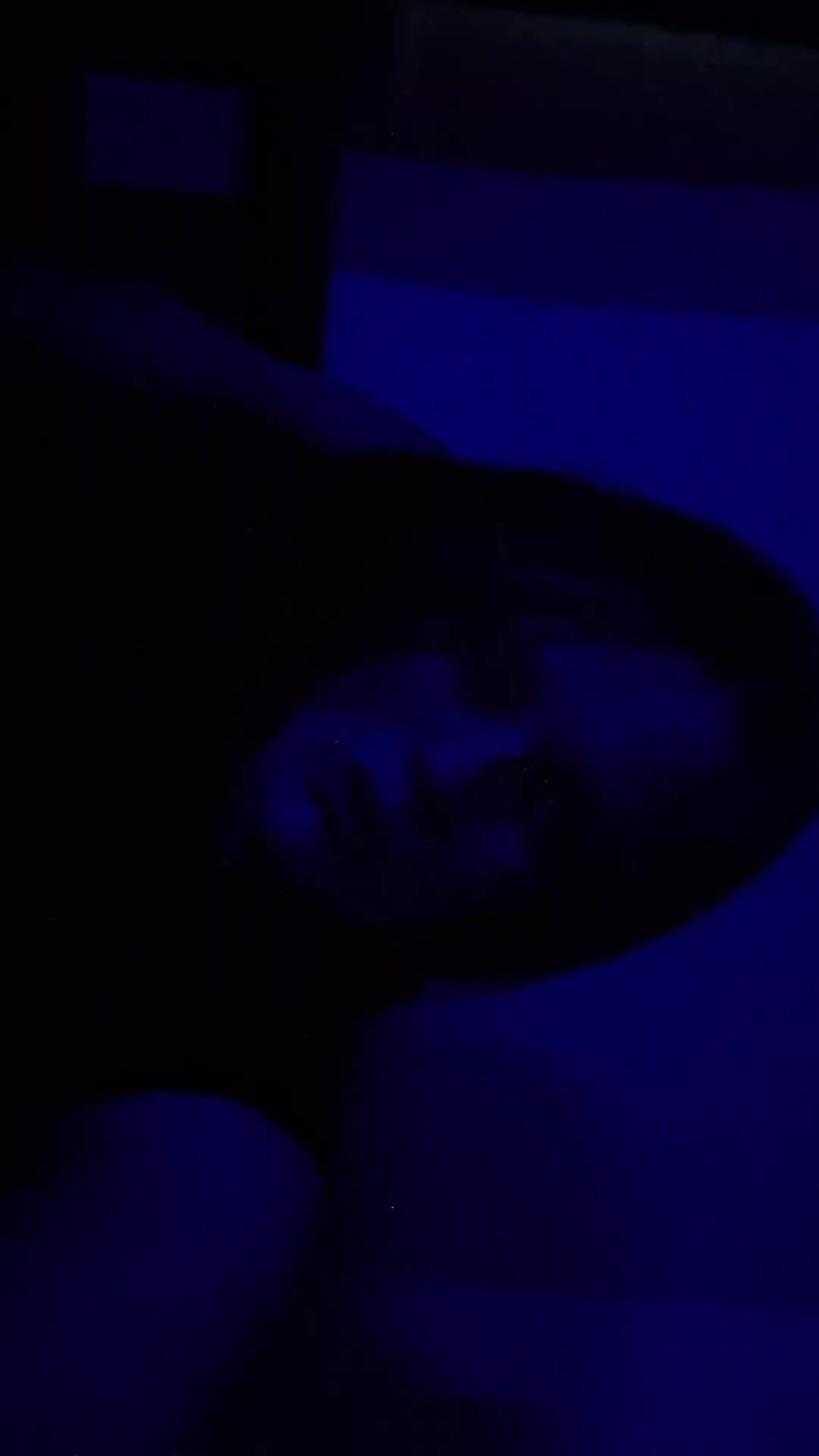 @Blackout_File_Collective