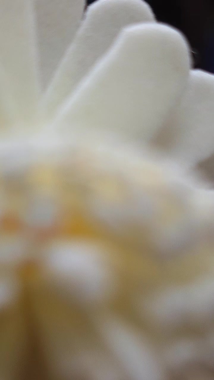 @La Casa De parfum