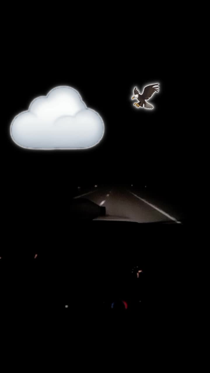 @🦅▄︻̷̿┻̿═━一𓃮