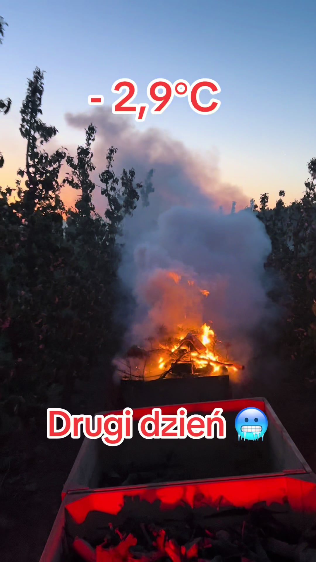 @Sady Puczyński
