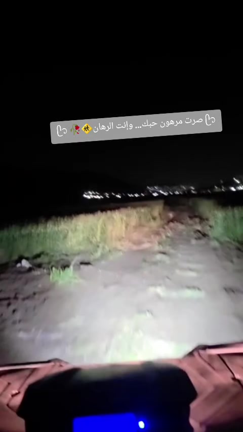 @𓅓༺ عـدِيّ ༻𓅓