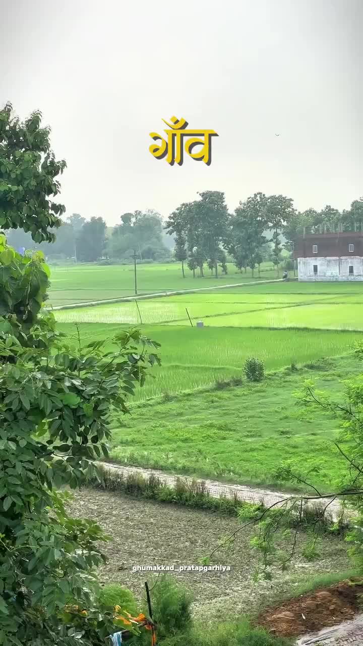 @PRAMOD YADAV
