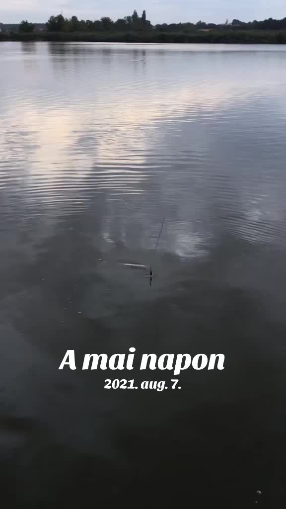 @🇭🇺CarpHunter🎣Dénes🇭🇺