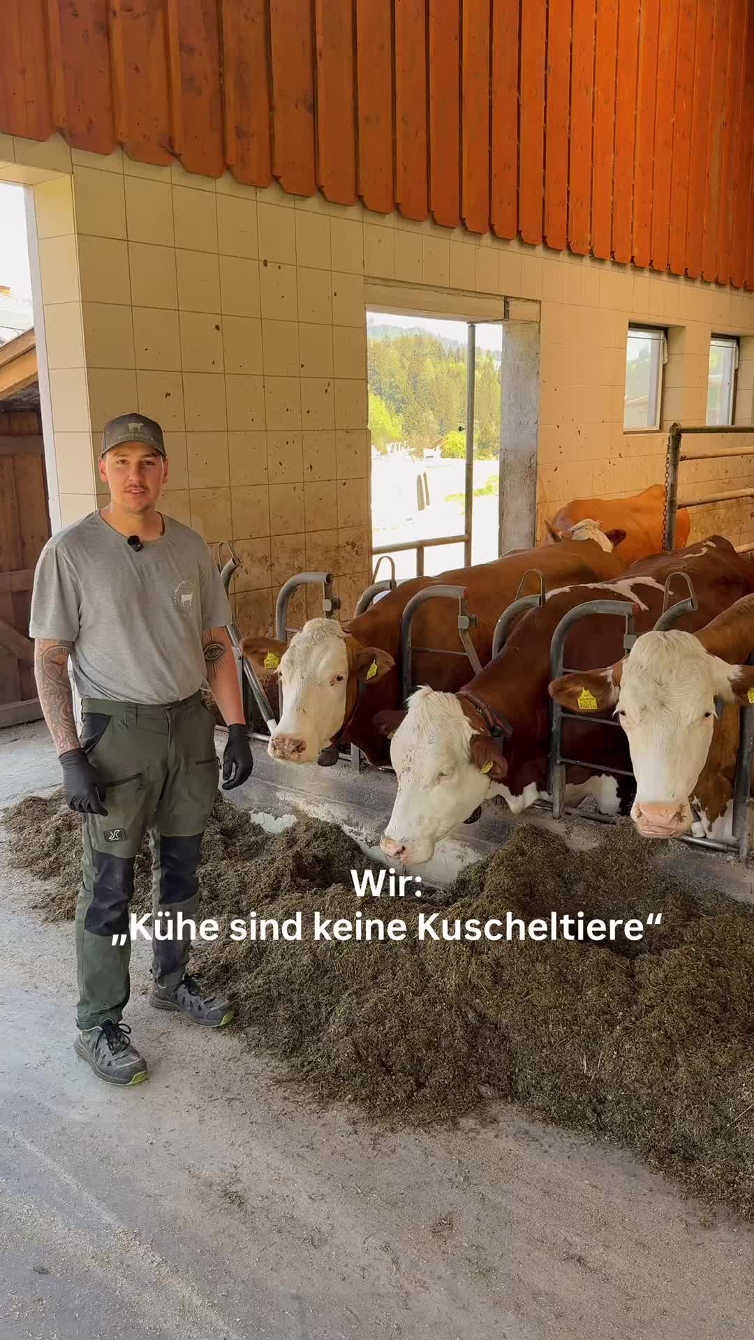 @landwirtschaft.moosbauer