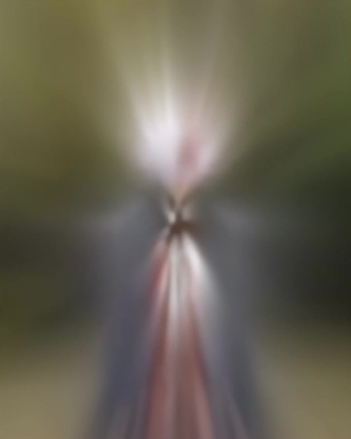 @ᴍᴏʀᴛᴀʟ
