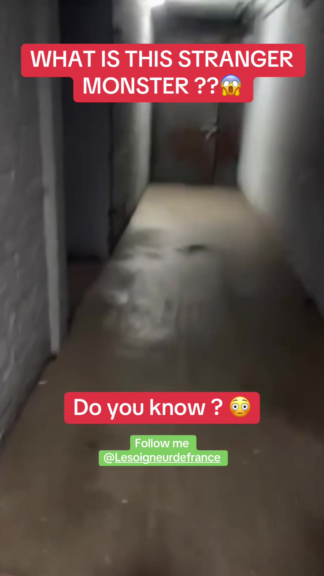 @OxarfisH ™