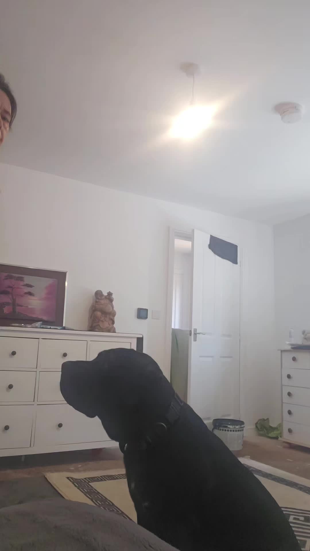 @limp