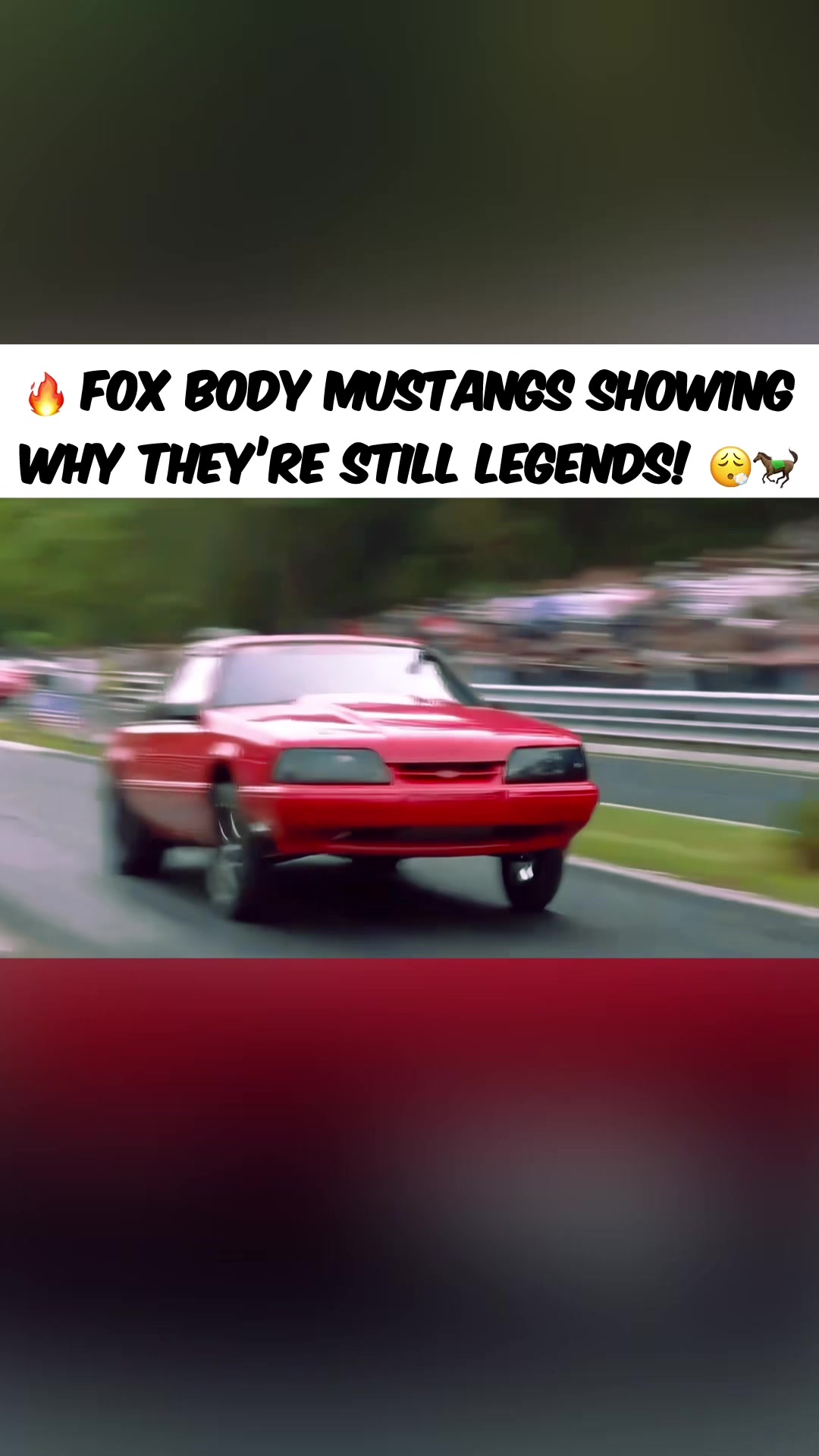 @Muscle Cars