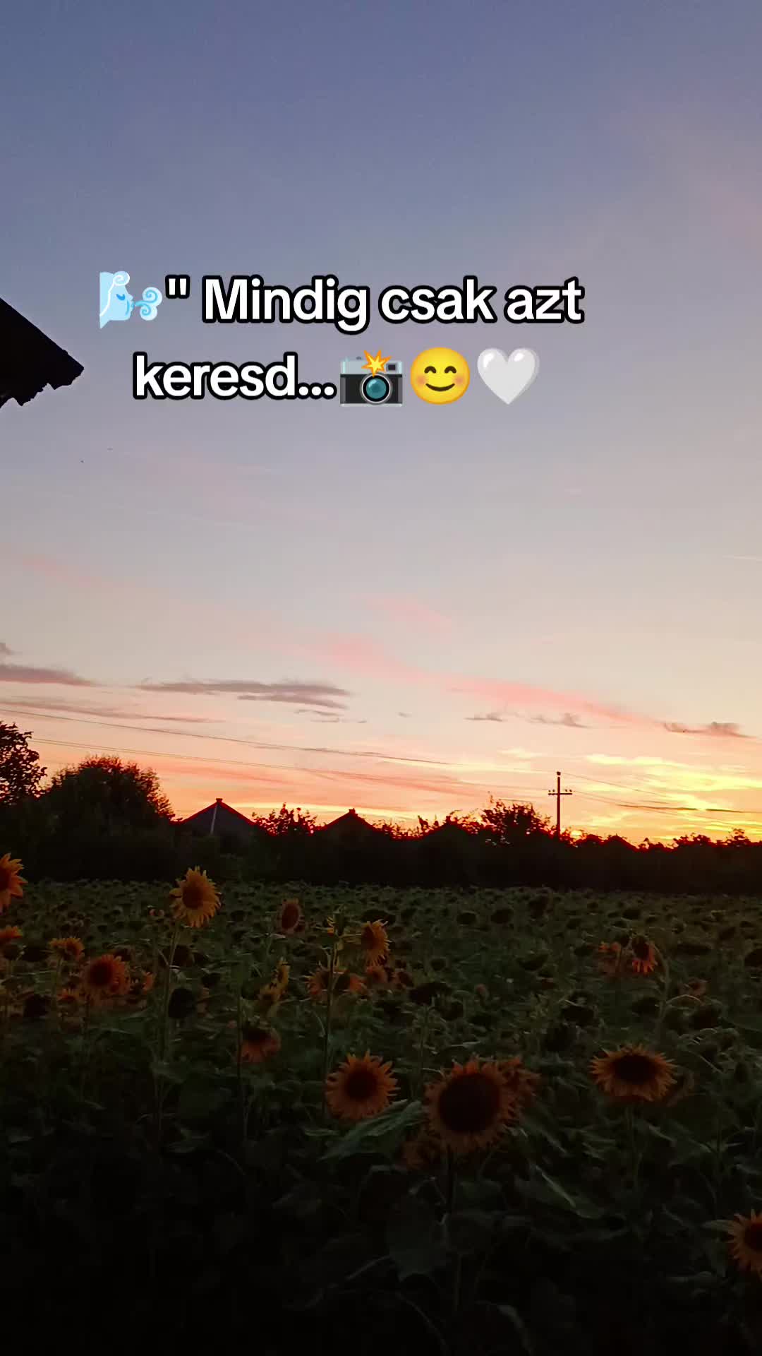 @Jolika202🙂🙃