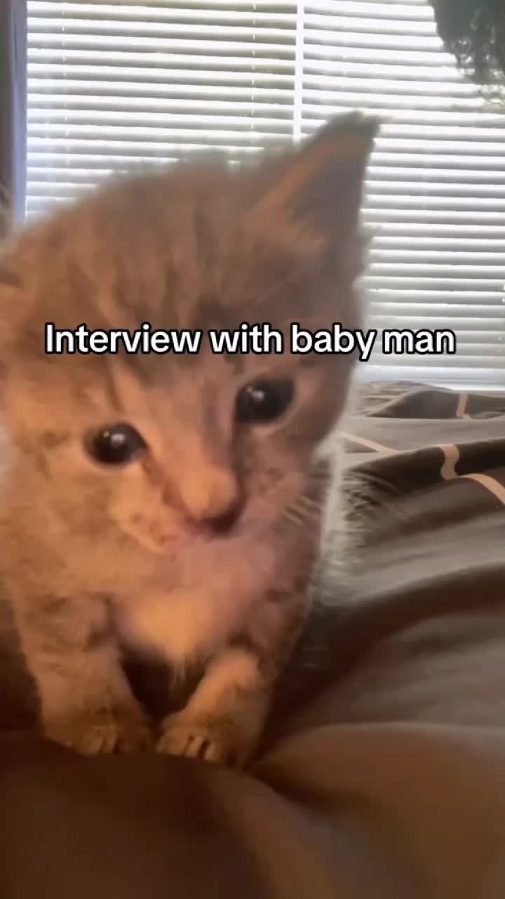 @Kitty Meow