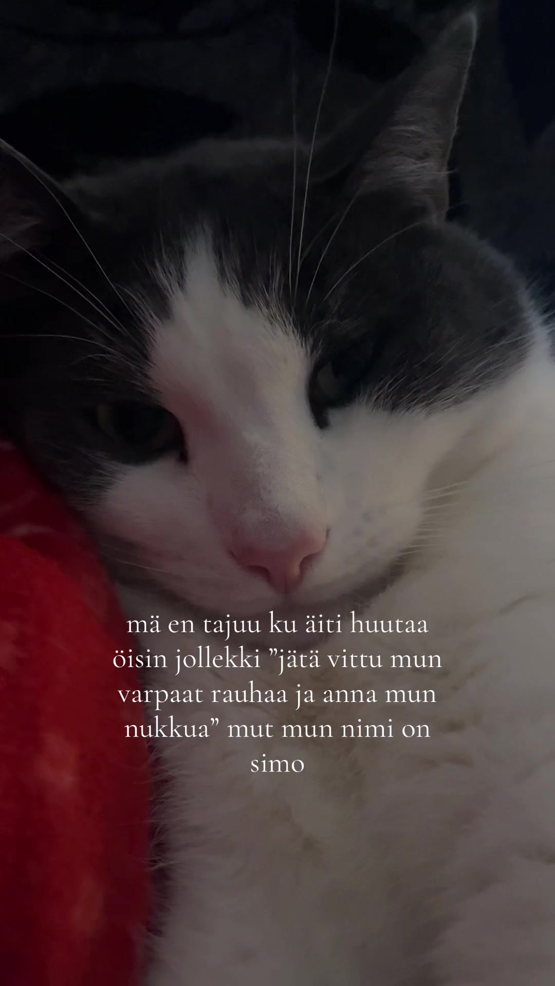 @oona💌