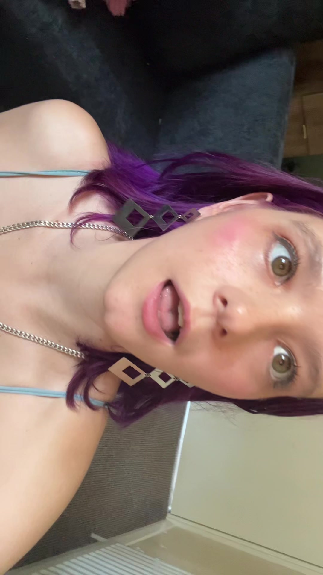 @_jamielee_angel_pet_