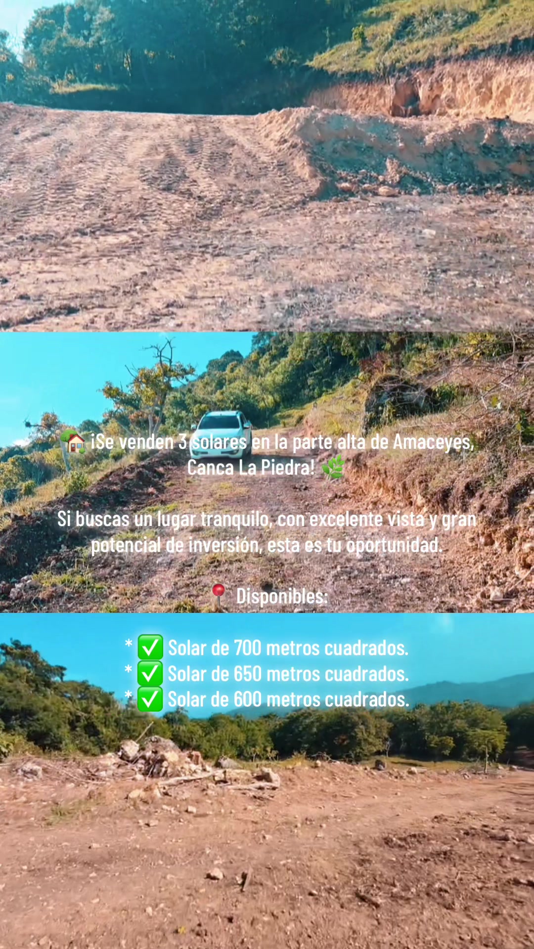 @cancanoticiasoficial