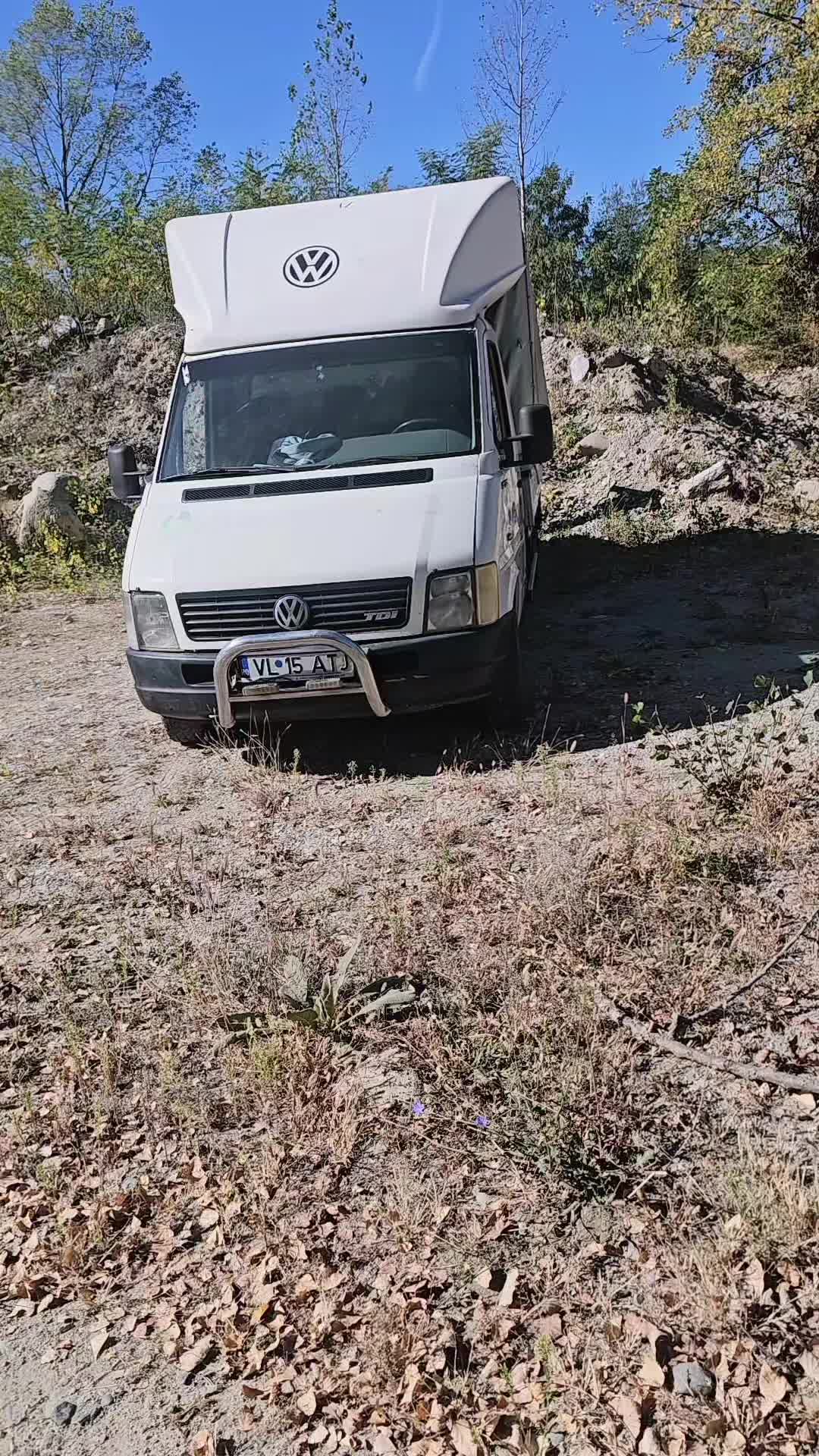 @Petrișor Allcapone