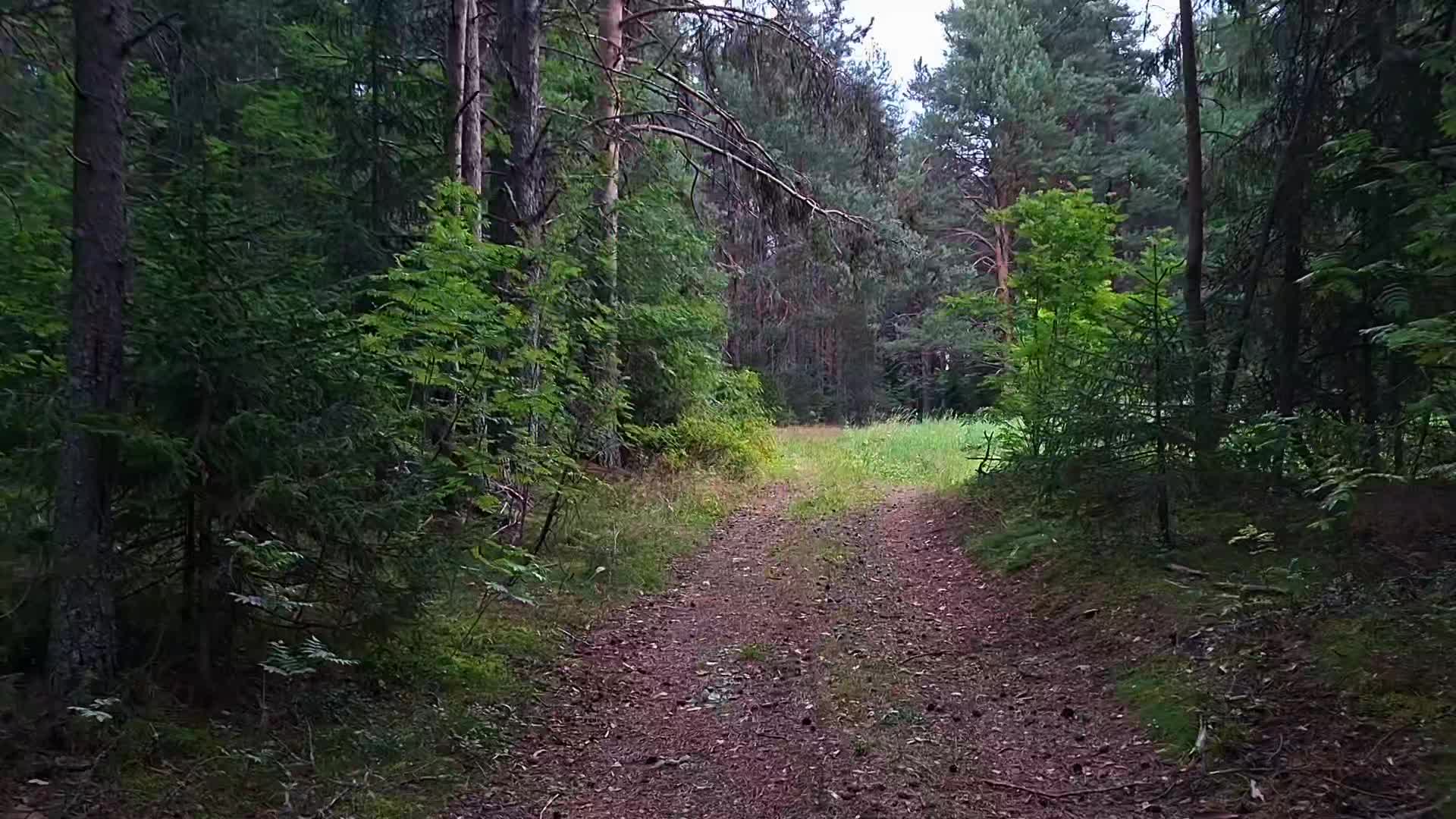 @𝘄𝗲𝗿𝘂𝗹𝗮𝘀𝗲𝗻