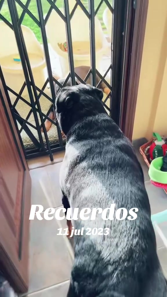 @Michacho💕💕