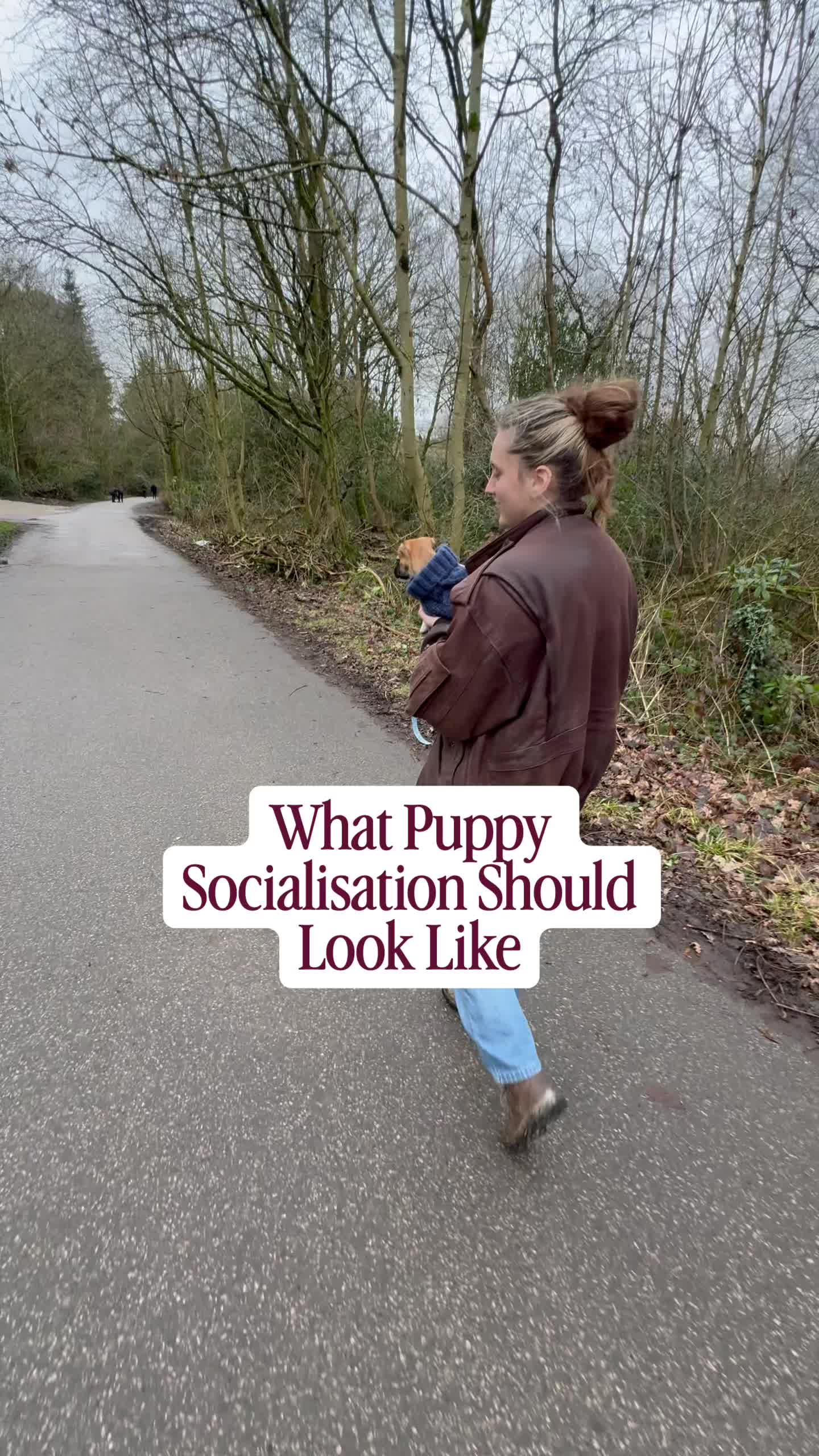 @Amelia the Dog Trainer