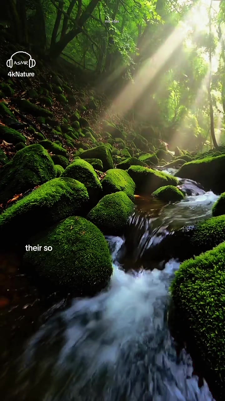 @4KNature