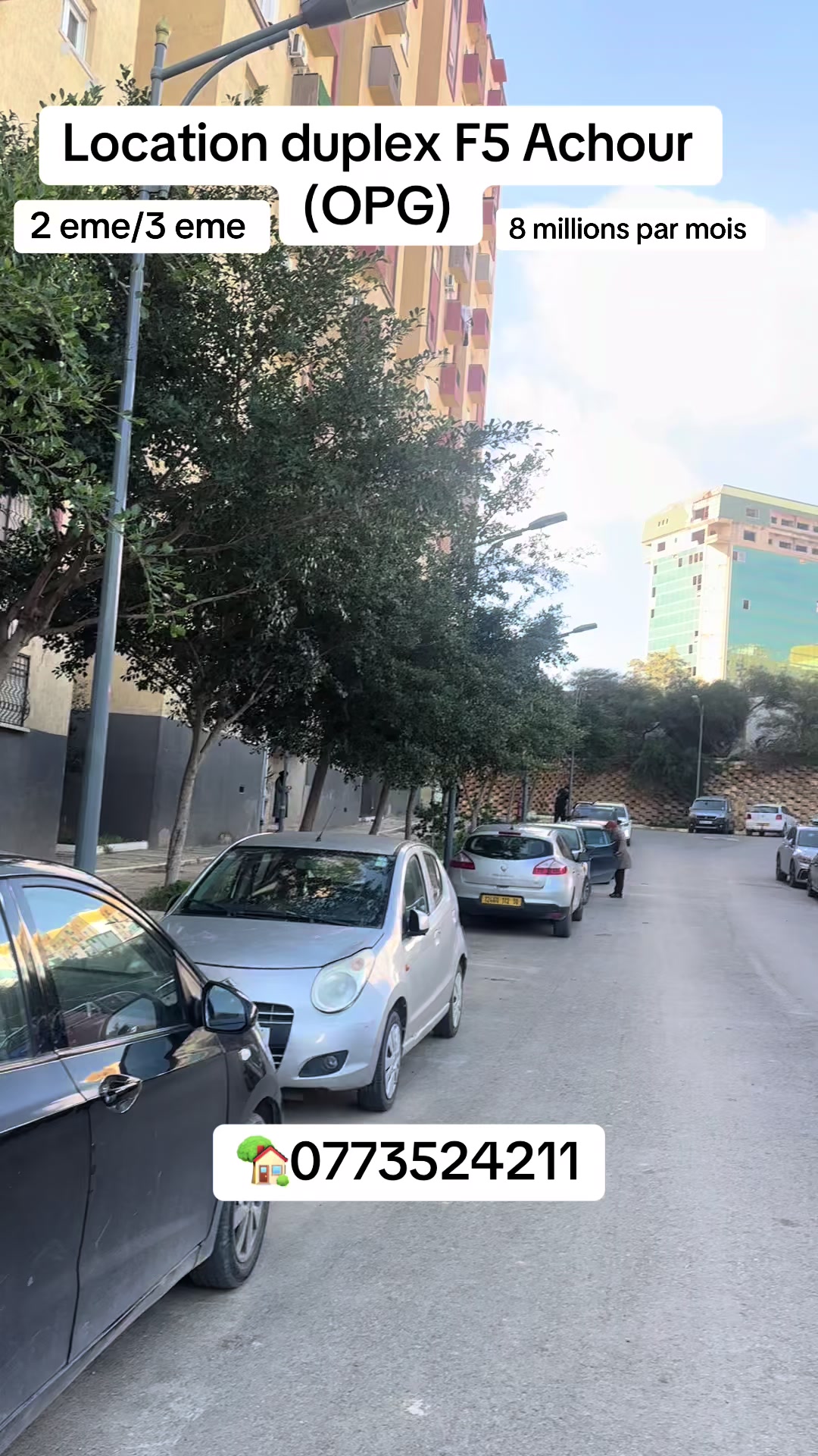 @Chahine immobilière