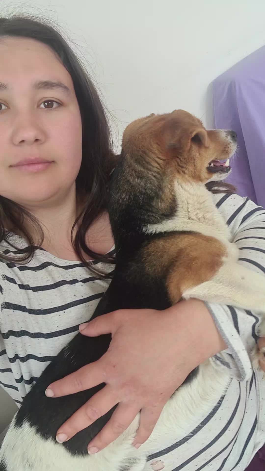 @Salvează o inimă