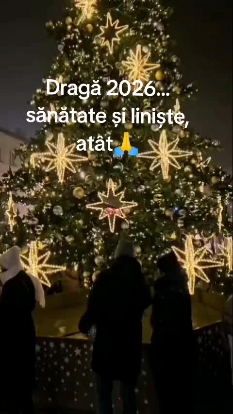 @Nița Foitoș
