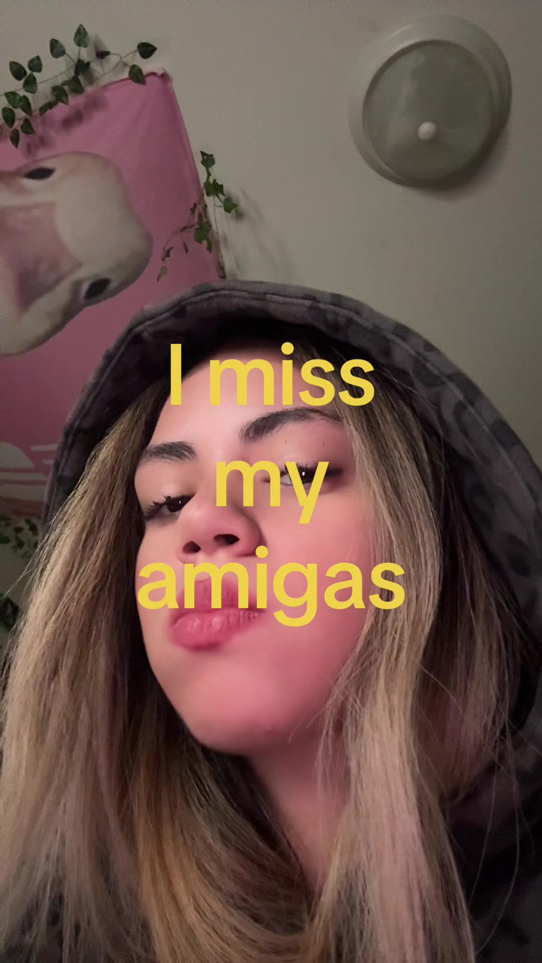 @theblissfulunicorngoat