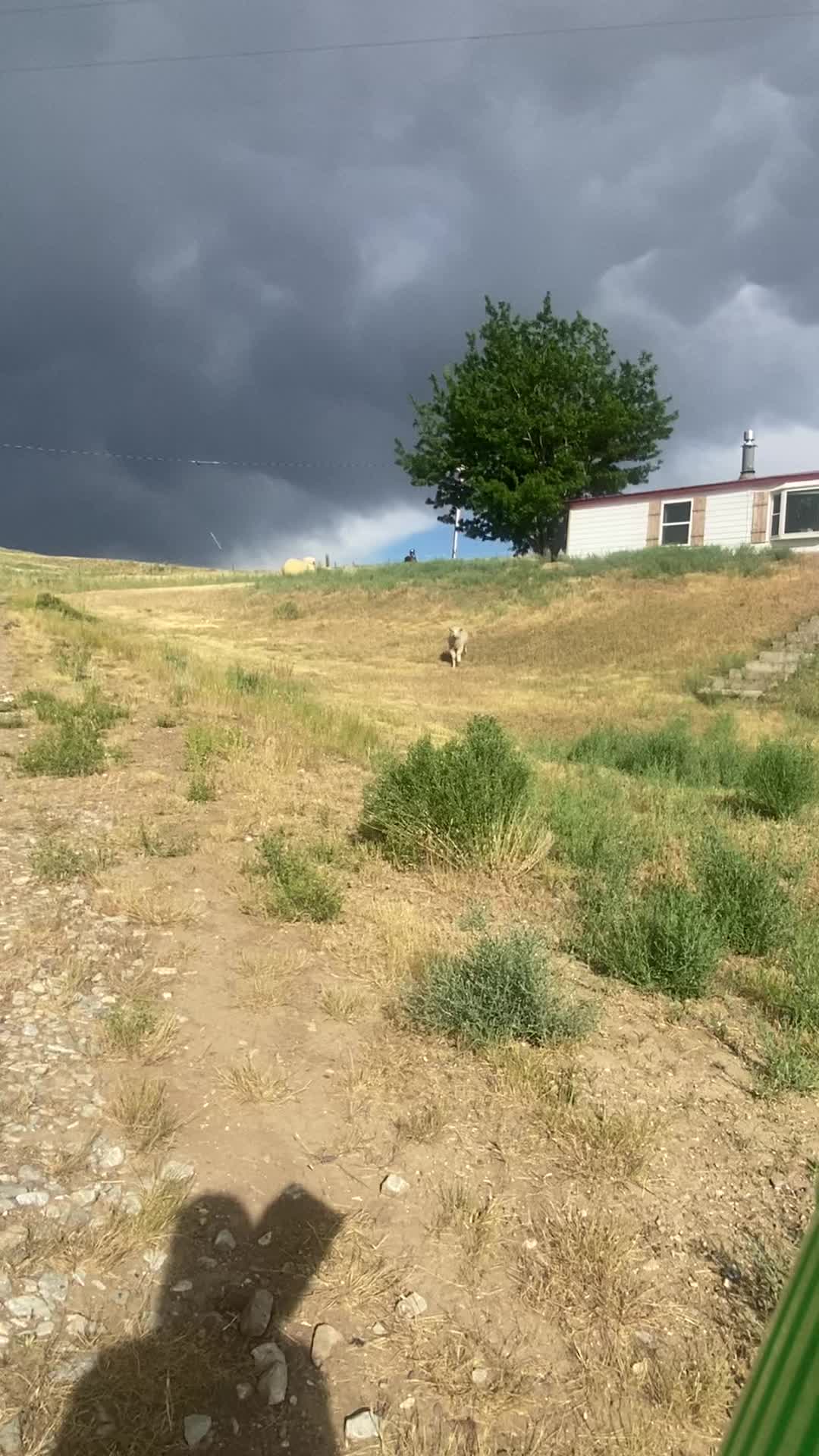 @WardRanch