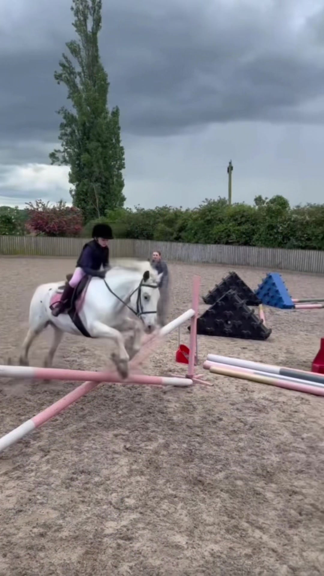 @LottiesHorseAdventures🦄🐴