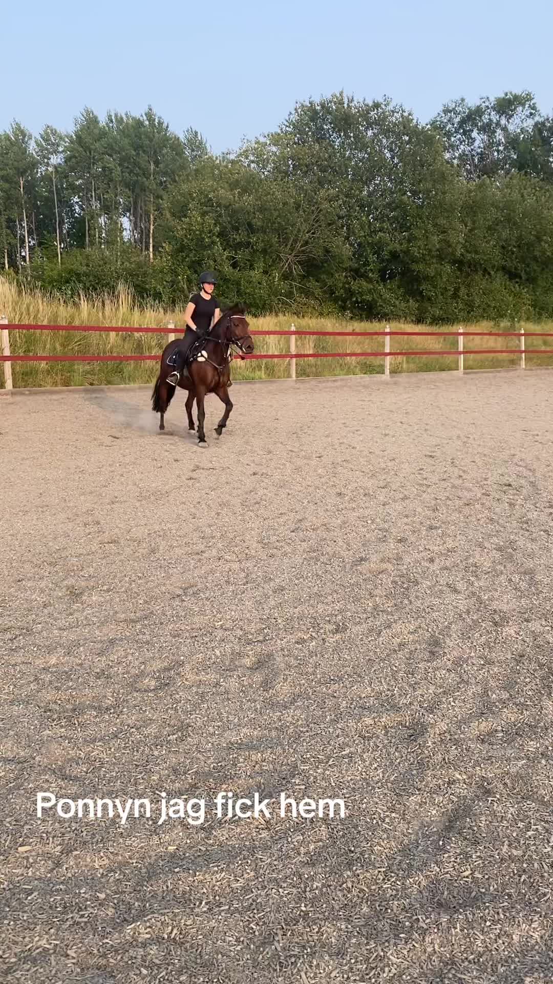 @Moa fristedt
