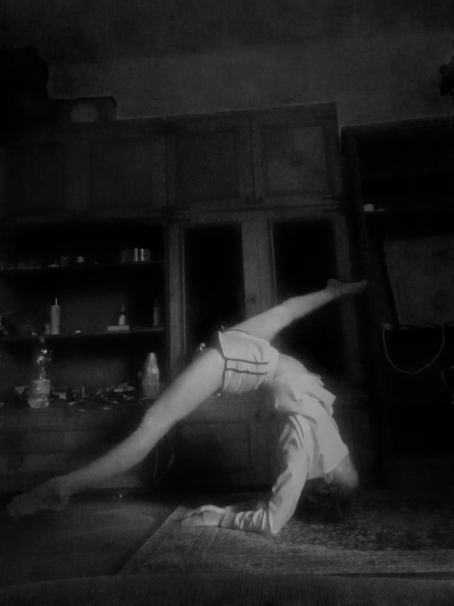 @circusobsessed