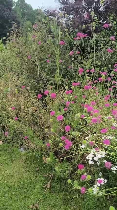 @Animal & Nature Lovers