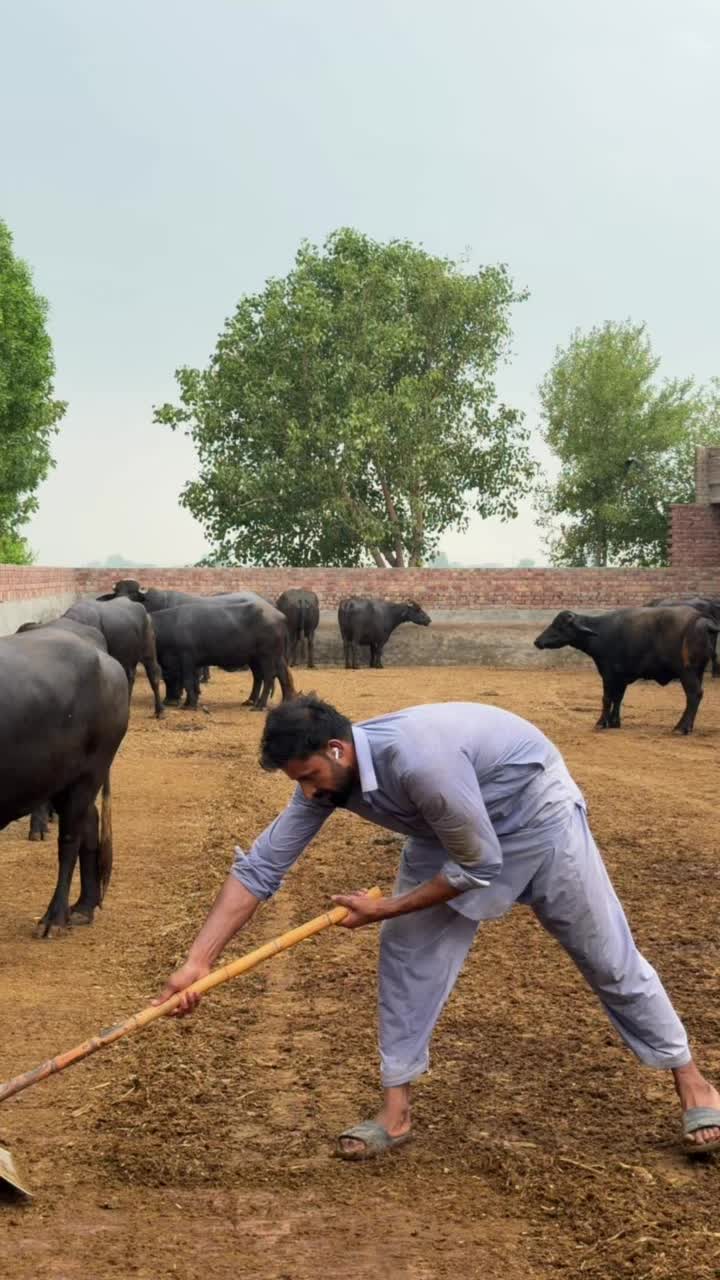 @waqarbhinder852