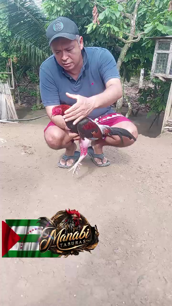 @MANABI TABURAS