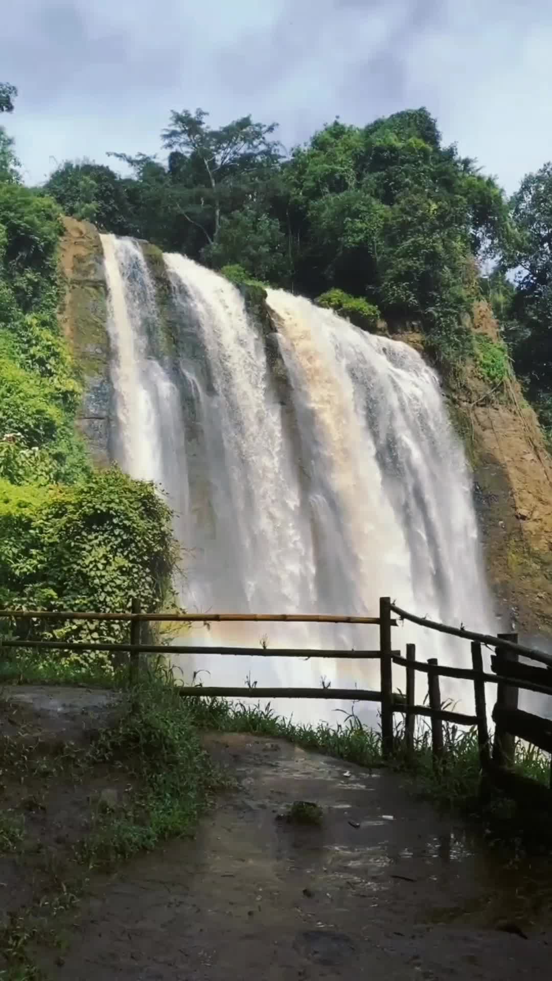 @nyiikk