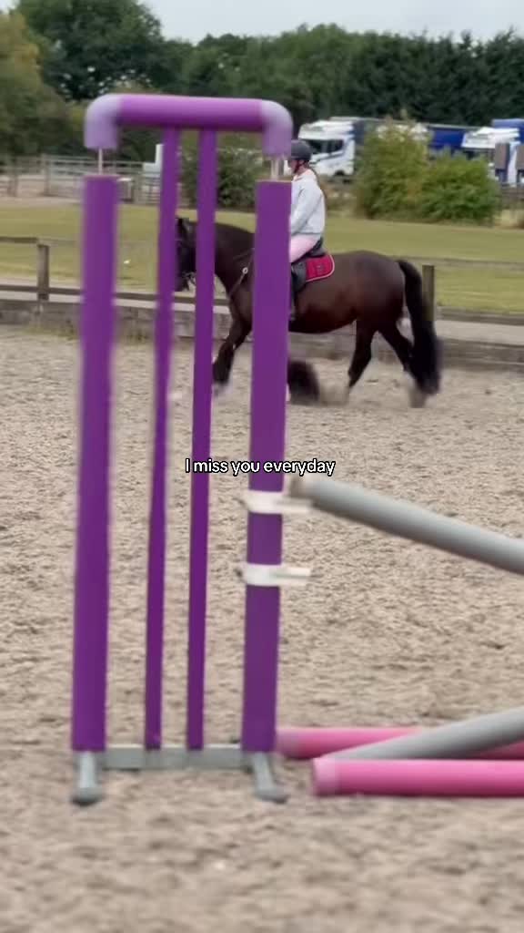 @Sophie&merlin🌸🐴