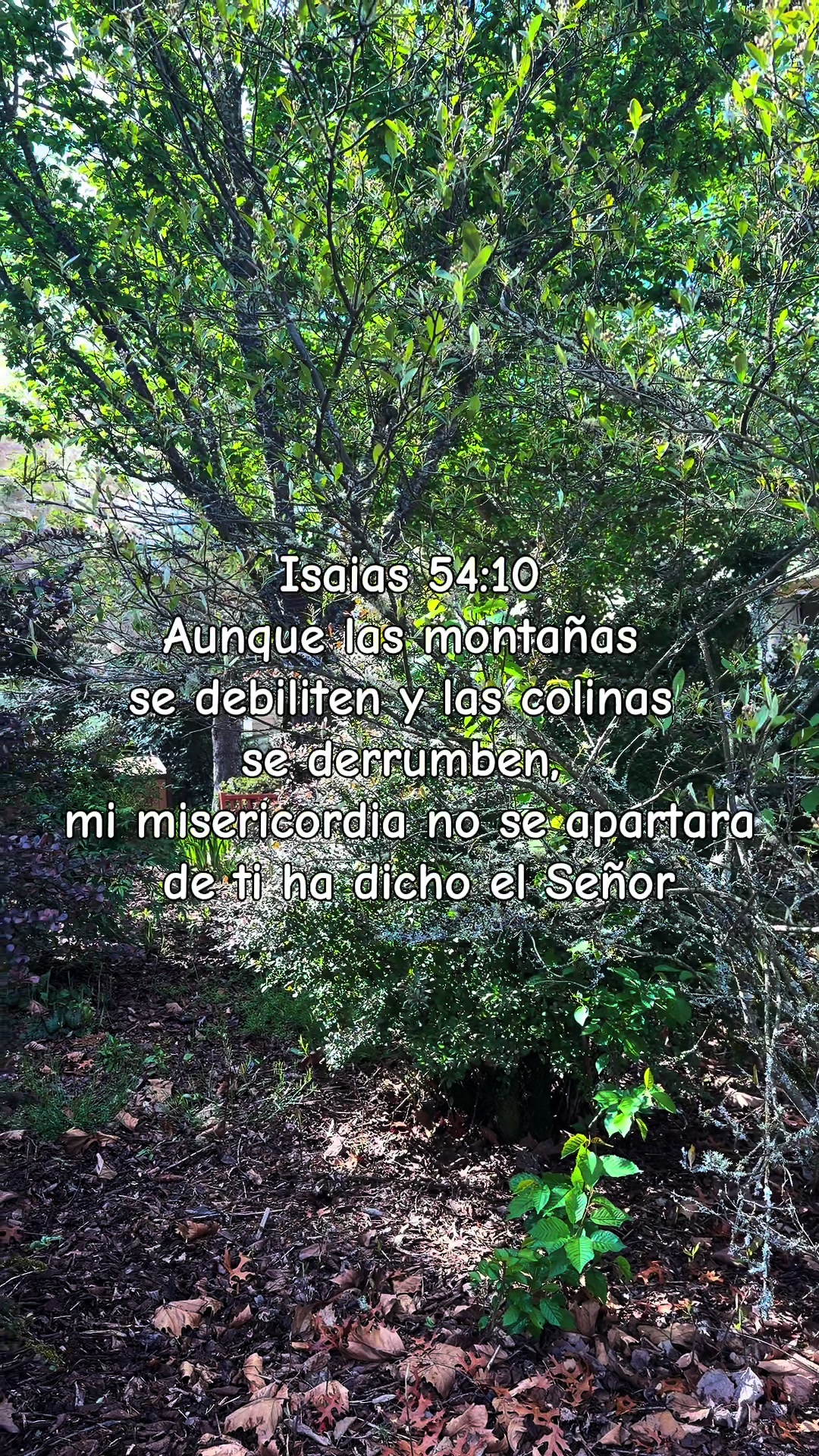 @tenemosunproposito