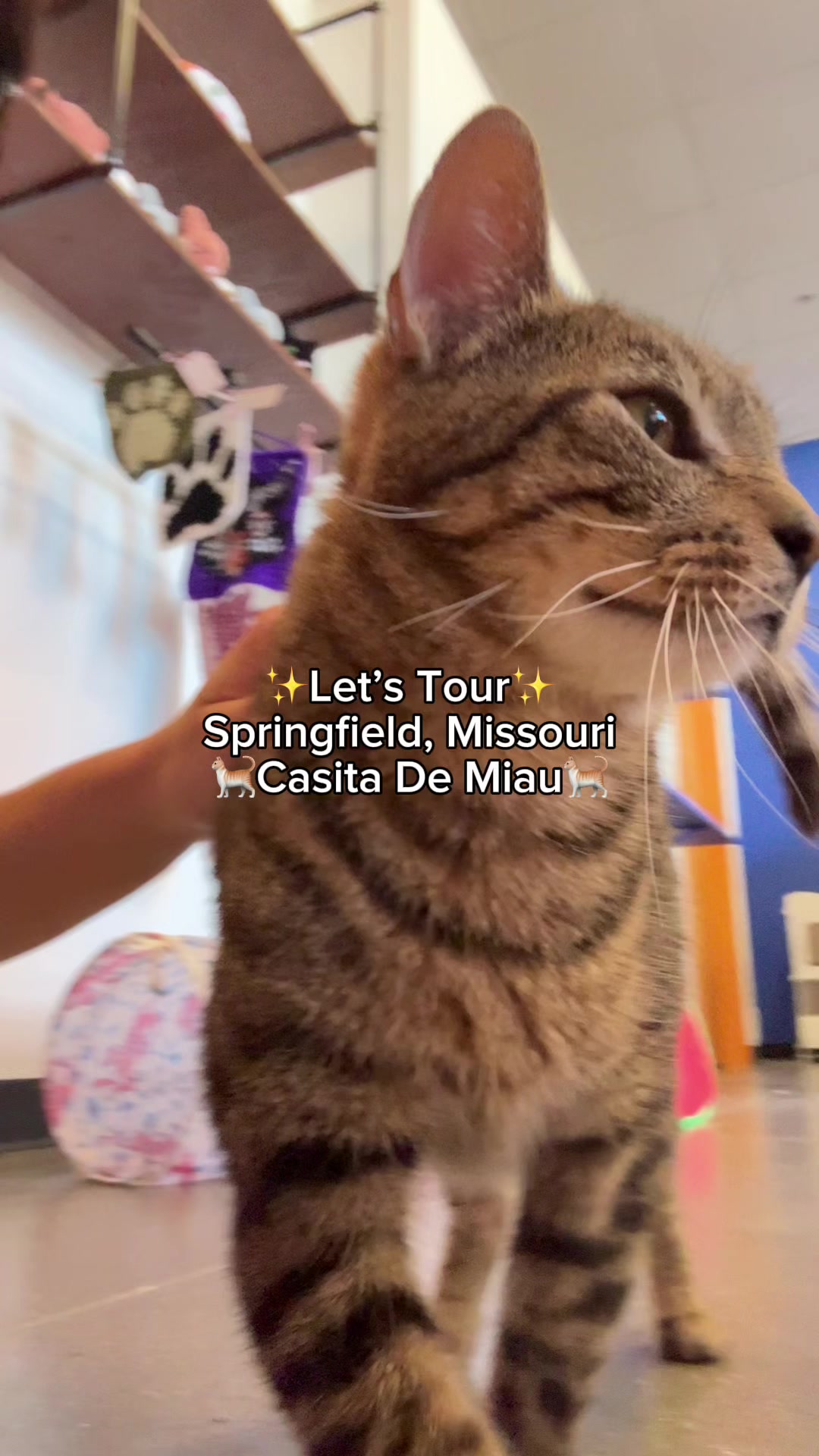 @Springfield, Missouri
